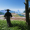 شبح سوشیما Ghost of Tsushima
