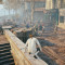 اساسینز کرید یونیتی Assassin's Creed Unity