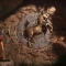 آنچارتد: میراث گمشده Uncharted: The Lost Legacy