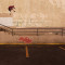 اسکیت سواری Tony Hawks Pro Skater 3+4