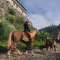 مقر پادشاهی: رستگاری Kingdom Come Deliverance