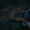ترینیتی Outlast
