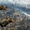 مودرن وارف Call of Duty Modern Warfare