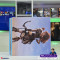 کنسول PS4 پرو کپی خور 1 ترابایت سریال 5692810